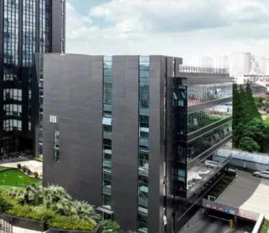 广东本土设计师视角：东莞工作室网页设计与标志设计服务对比分析